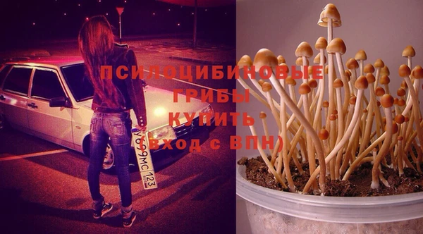 хмурый Лиски